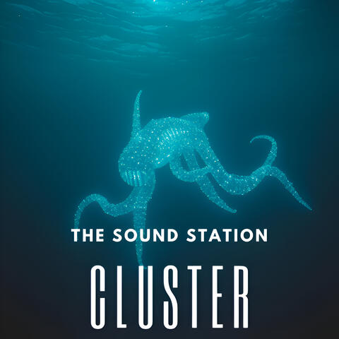 Cluster