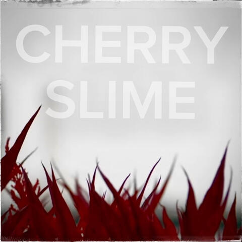 Cherry Slime