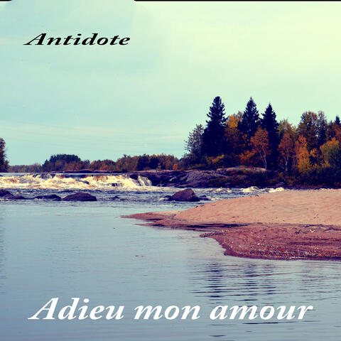 Adieu mon amour