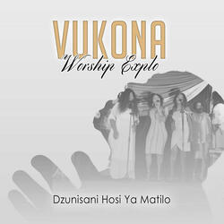 Dzunisani Hosi Ya Matilo