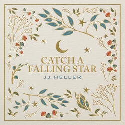 Catch a Falling Star