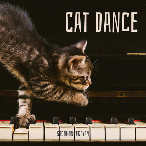 Cat Dance