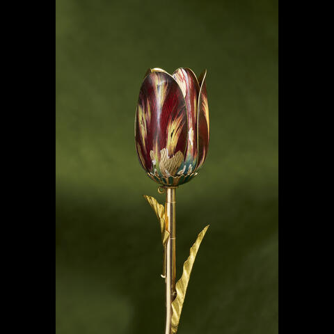 Project Flower