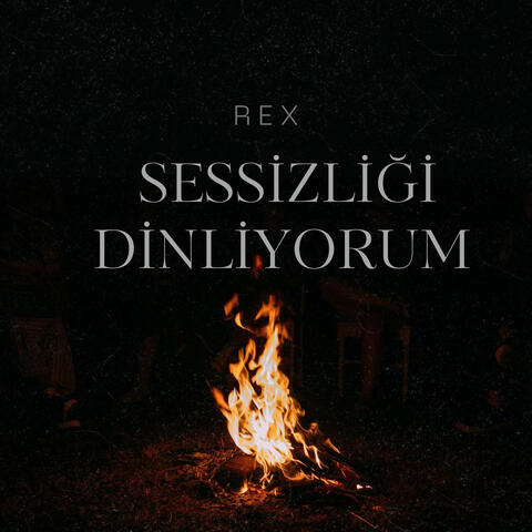 Sessizliği Dinliyorum