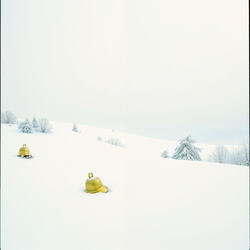 Snowfield of Happiness
