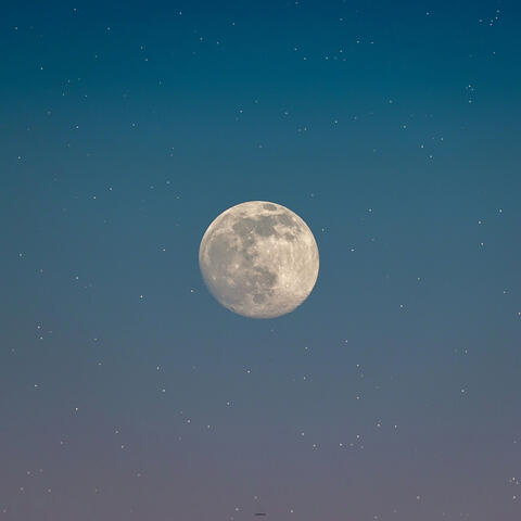 Moonshine