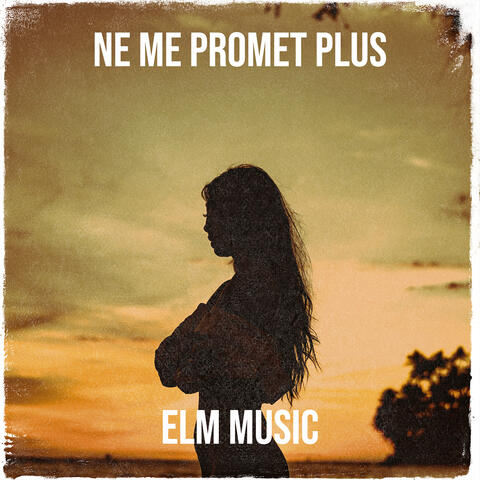 Ne me promet plus
