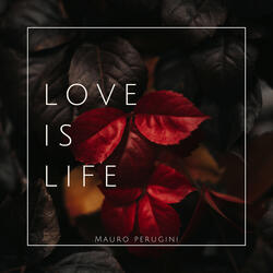 Love Is Life
