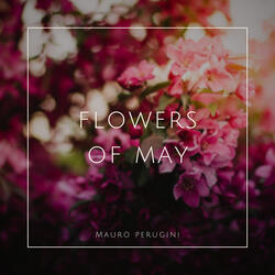 Flowers of May