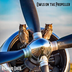 Owls on the Propeller