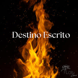Destino Escrito