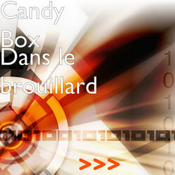 Dans le brouillard