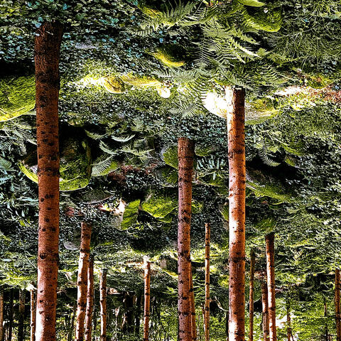 Nature Is Everything