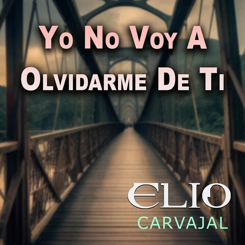 Yo No Voy a Olvidarme De Ti