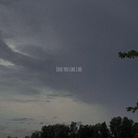 Love You Like I Do