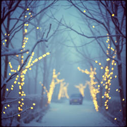 Winter Glow