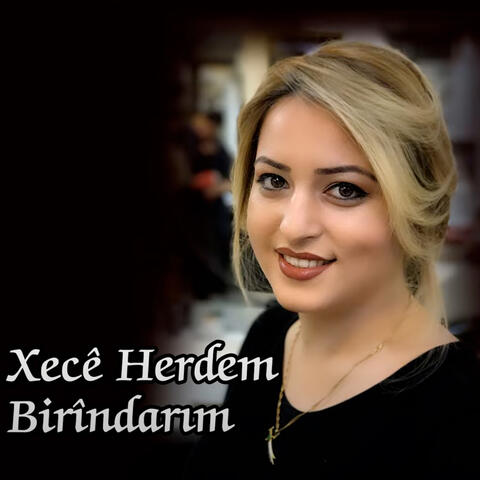 Birîndarım (Akustik)