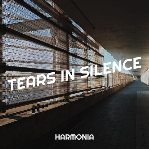 Tears in Silence