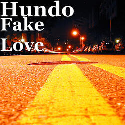 Fake Love