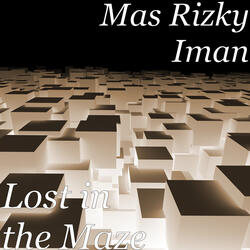 Lost in the Maze