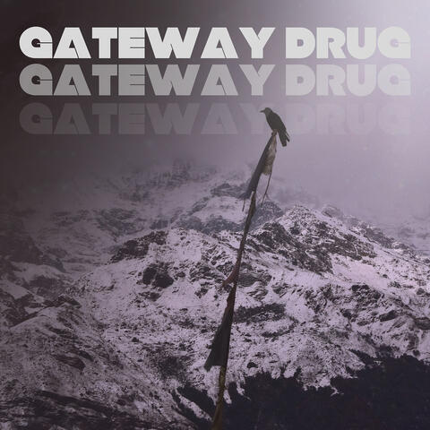 Gateway Drug