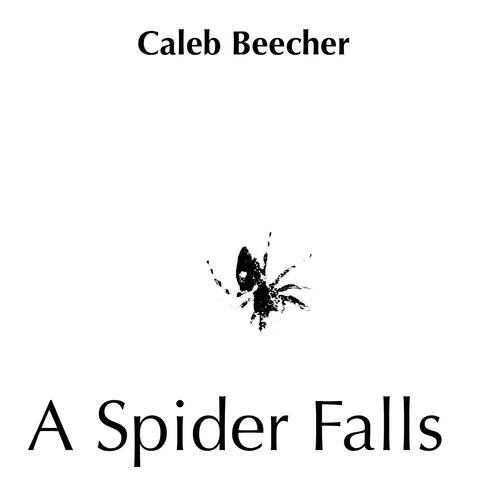 A Spider Falls