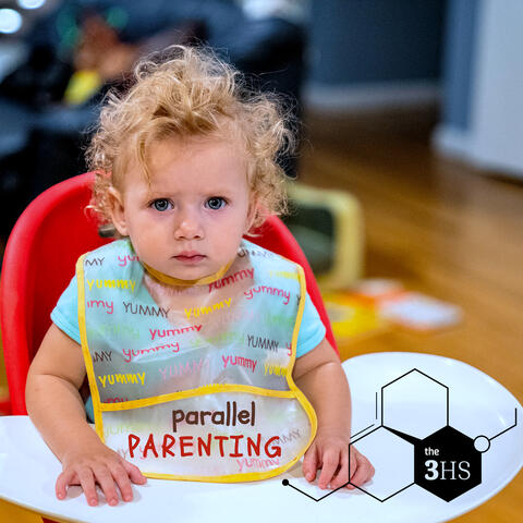 Parallel Parenting