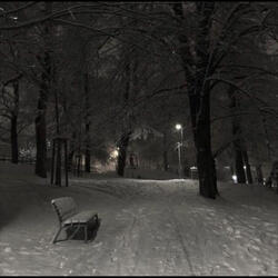 Winter