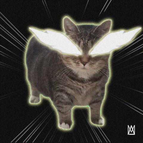 Oia Oia Cat Funk!