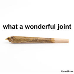 What a Wonderful Joint