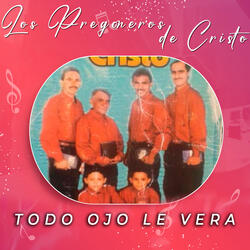 Todo Ojo Le Vera