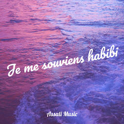 Je me souviens habibi