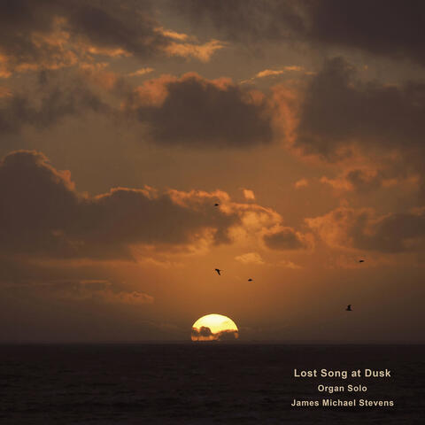Lost Song at Dusk (Organ Solo)