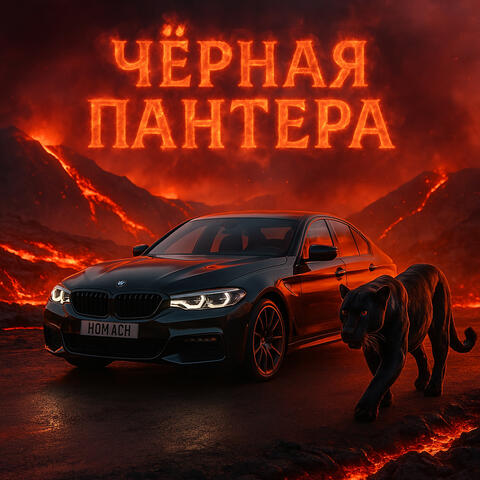 Чёрная пантера