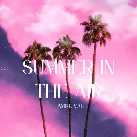 Summer in the Air