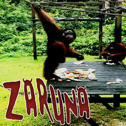 El Zaruna Demos