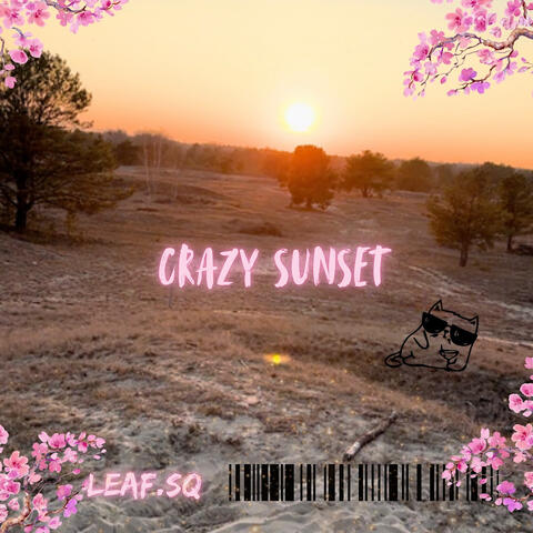 Crazy Sunset
