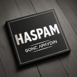 Haspam
