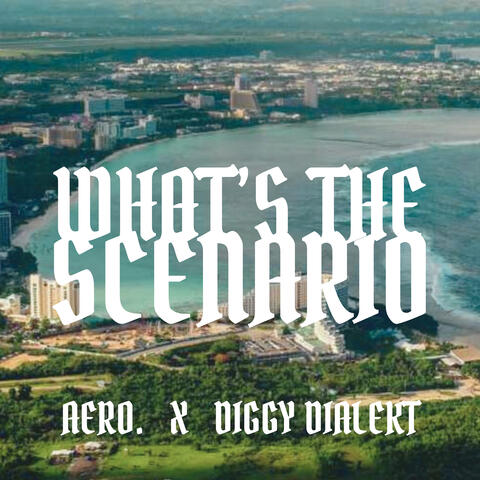 What's the Scenario