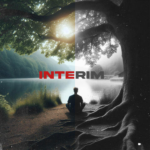 Interim