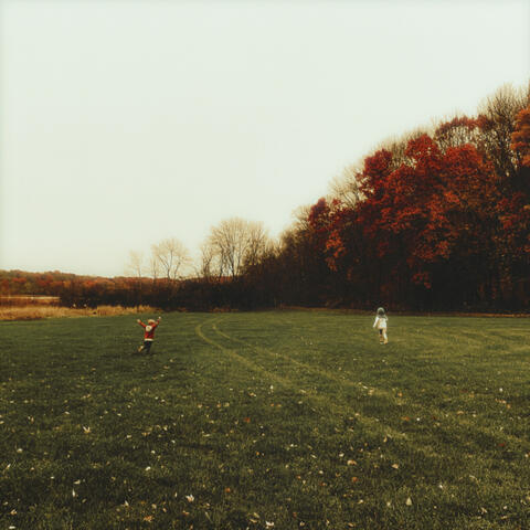 Silver Oaks