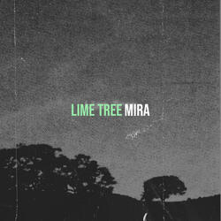 Lime Tree