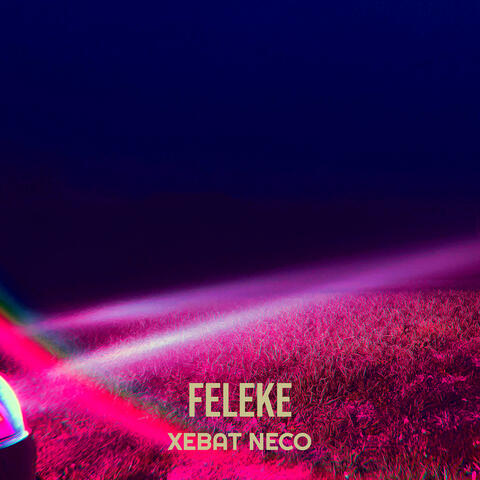 Feleke