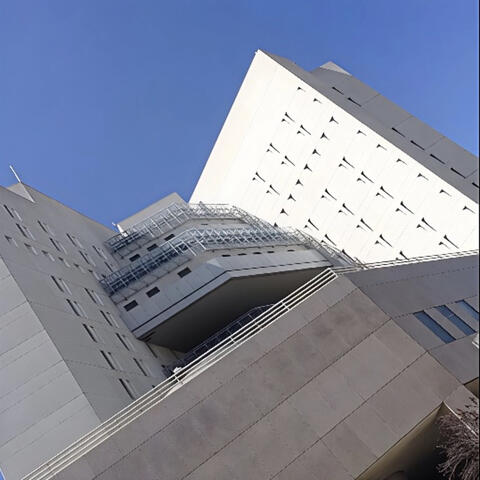 MDC