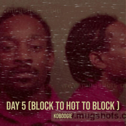 Day 5 (Block to Hot to Block )