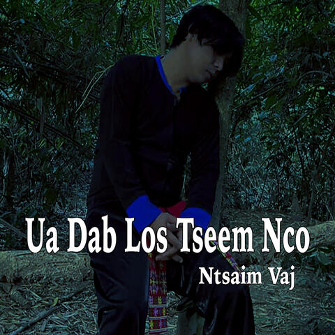Ua Dab Los Tseem Nco