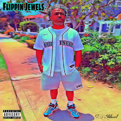 Flippin Jewels