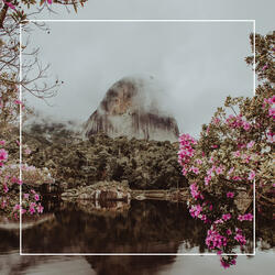 I Dreamt Music (Japan Edition)