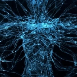 886 Hz the Forest Breathes