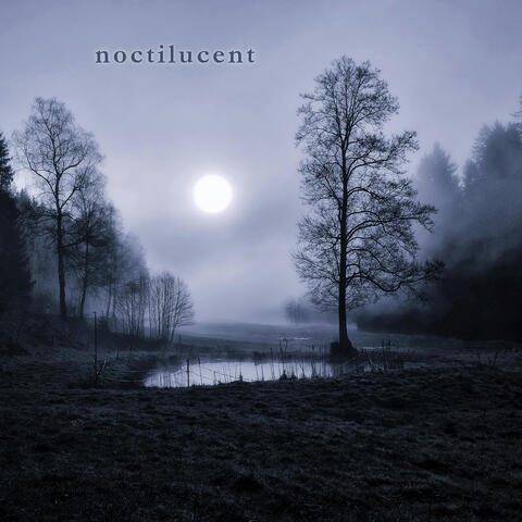 Noctilucent